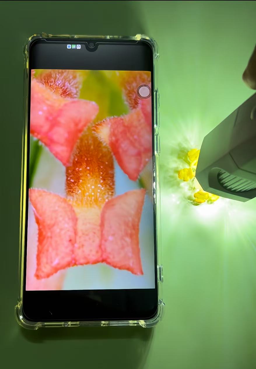 50X-1000X HD WiFi Digital Microscope Phone PC Connected Photo Video Taking Portable Electronic Microscope for Skin Hair Jewelry Ancient Coins